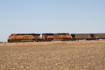 BNSF 6034 leads coal empties west